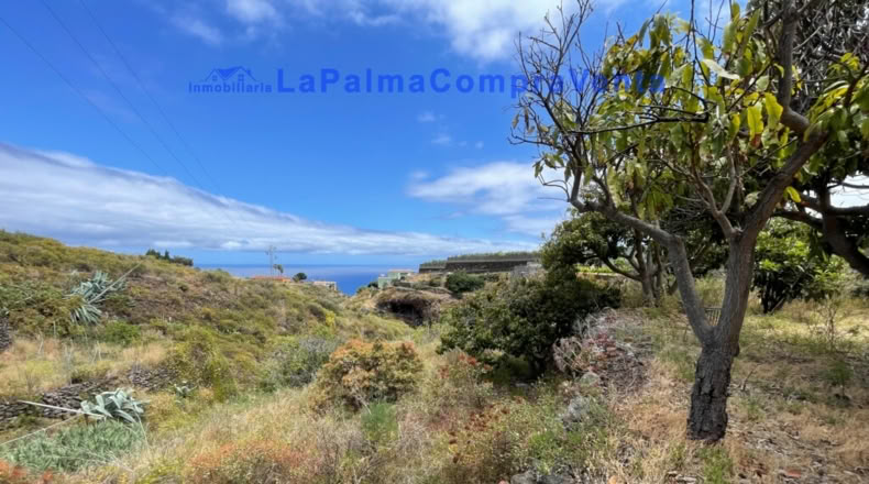 Santa Cruz de Tenerife - Santa Cruz de la Palma - 4863m2