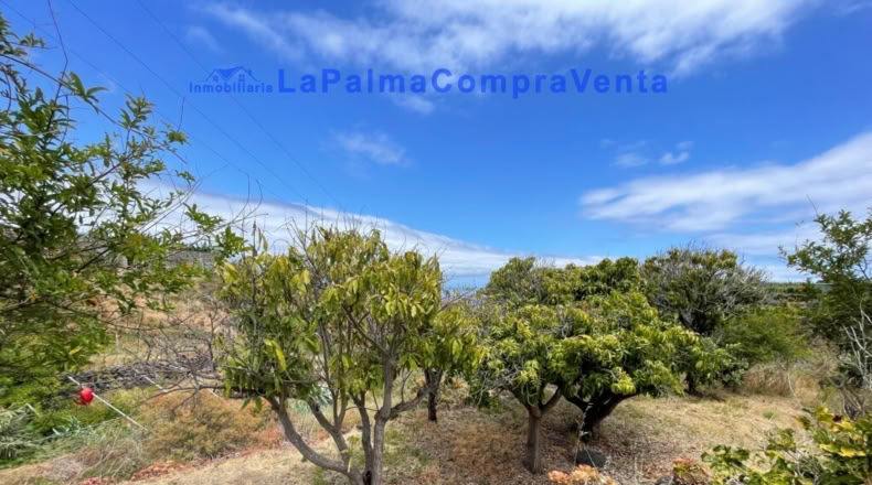 Santa Cruz de Tenerife - Santa Cruz de la Palma - 4863m2