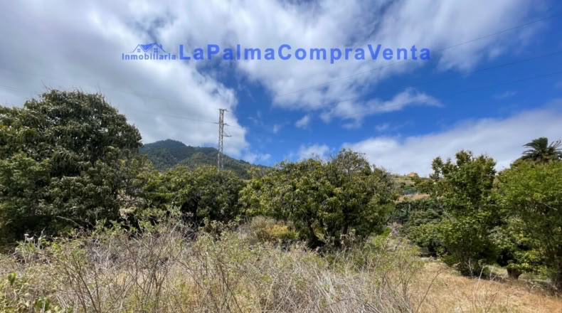 Santa Cruz de Tenerife - Santa Cruz de la Palma - 4863m2