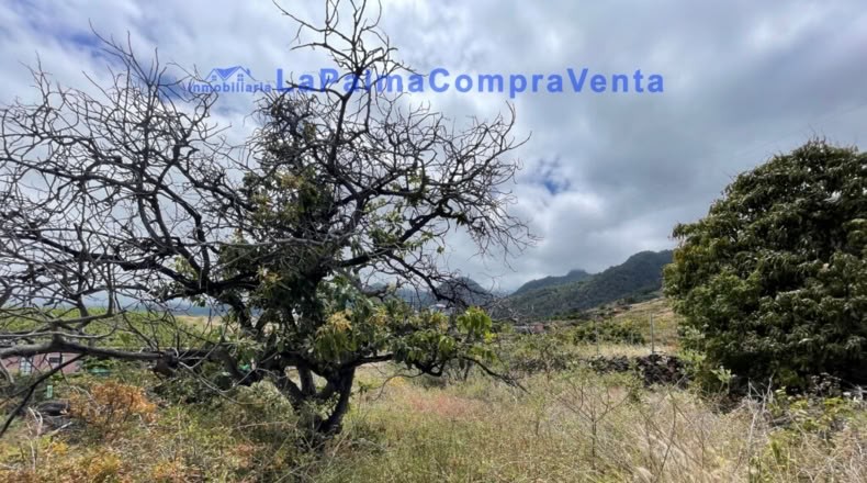 Santa Cruz de Tenerife - Santa Cruz de la Palma - 4863m2