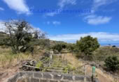 Terreny no urbanitzable en venda a Santa Cruz de La Palma ref.: TR234863 foto