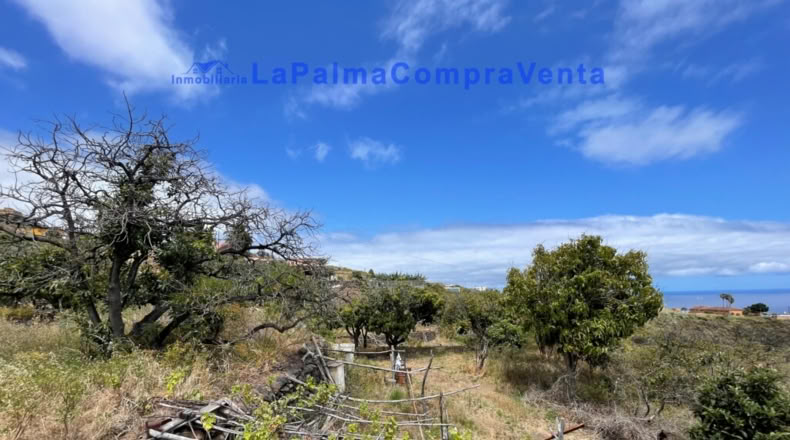 Santa Cruz de Tenerife - Santa Cruz de la Palma - 4863m2