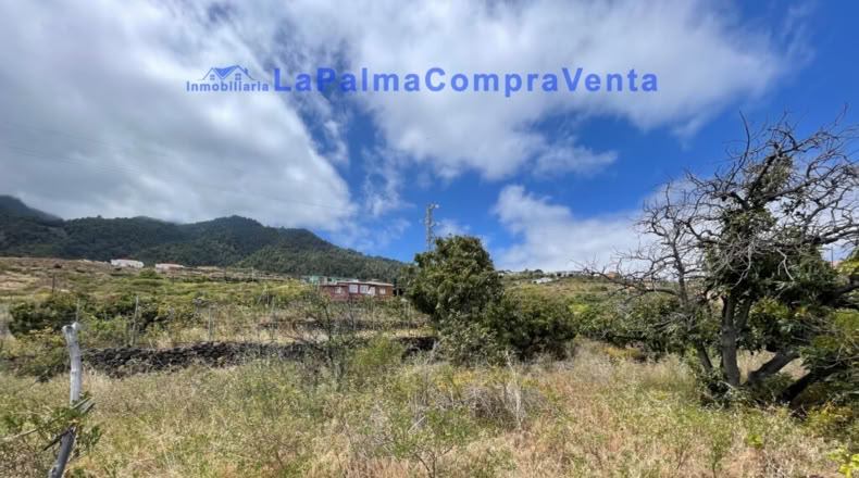 Santa Cruz de Tenerife - Santa Cruz de la Palma - 4863m2