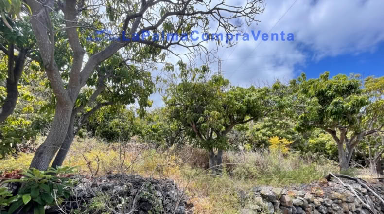 Santa Cruz de Tenerife - Santa Cruz de la Palma - 4863m2