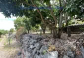 Terreny no urbanitzable en venda a Santa Cruz de La Palma ref.: TR234863 foto