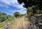 Terreny no urbanitzable en venda a Santa Cruz de La Palma ref.: TR234863 foto