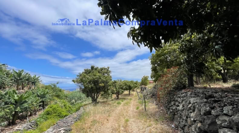Santa Cruz de Tenerife - Santa Cruz de la Palma - 4863m2