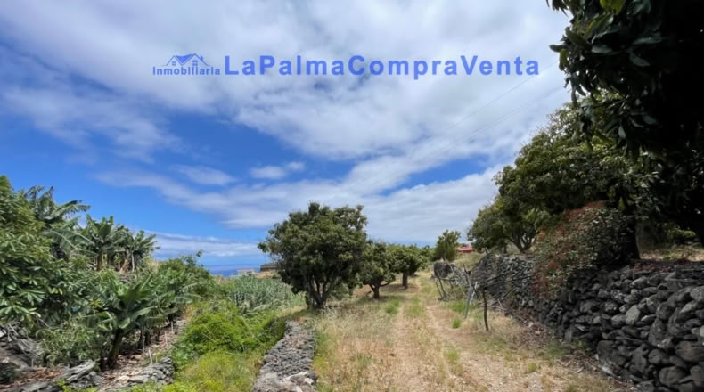 Santa Cruz de Tenerife - Santa Cruz de la Palma - 4863m2