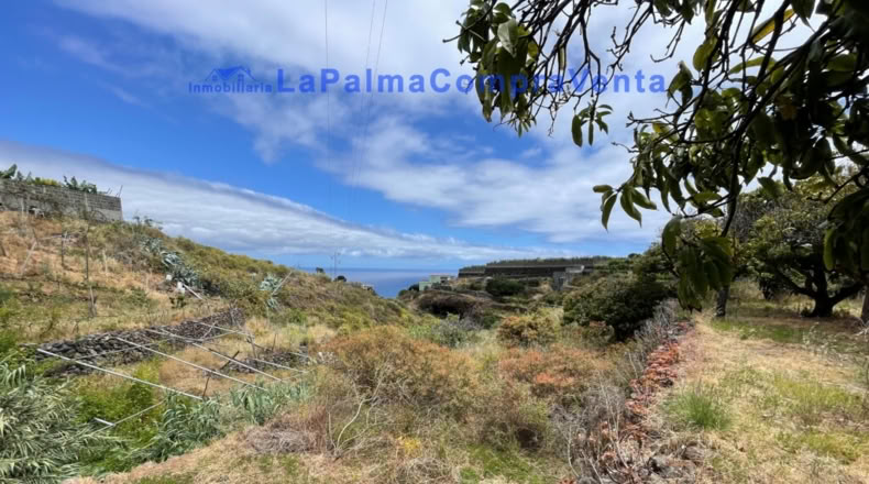 Santa Cruz de Tenerife - Santa Cruz de la Palma - 4863m2