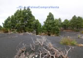 Terreny no urbanitzable en venda a El Paso ref.: TR261471 foto