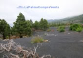 Terreny no urbanitzable en venda a El Paso ref.: TR261471 foto