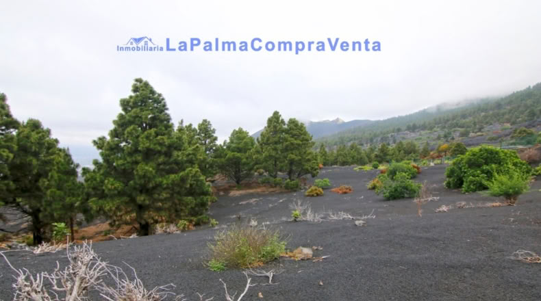 Santa Cruz de Tenerife - Los Llanos de Aridane - 2500m2