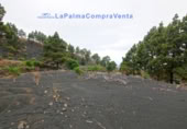 Terreny no urbanitzable en venda a El Paso ref.: TR261471 foto