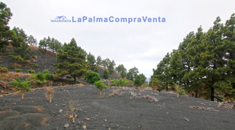 Santa Cruz de Tenerife - Los Llanos de Aridane - 2500m2
