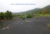 Terreny no urbanitzable en venda a El Paso ref.: TR261471 foto