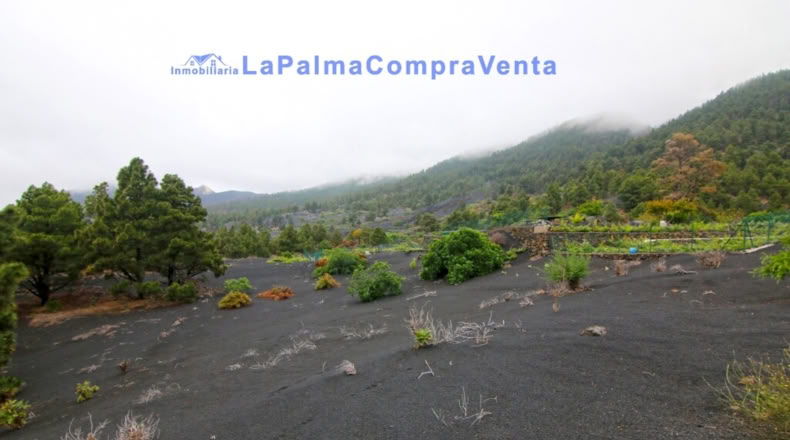 Santa Cruz de Tenerife - Los Llanos de Aridane - 2500m2