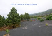 Terreny no urbanitzable en venda a El Paso ref.: TR261471 foto