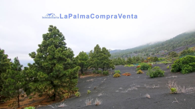 Santa Cruz de Tenerife - Los Llanos de Aridane - 2500m2