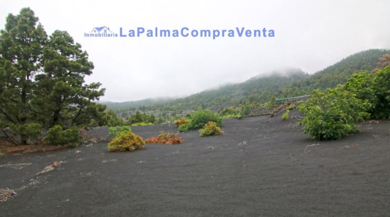 Santa Cruz de Tenerife - Los Llanos de Aridane - 2500m2
