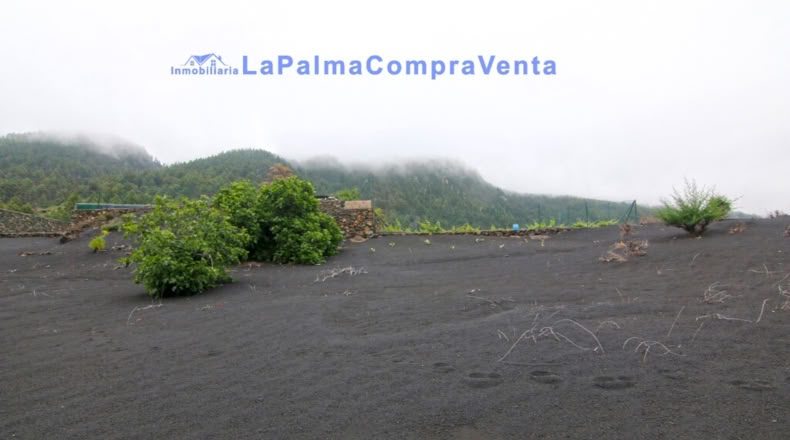 Santa Cruz de Tenerife - Los Llanos de Aridane - 2500m2