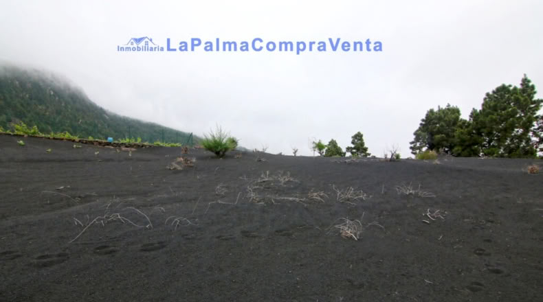 Santa Cruz de Tenerife - Los Llanos de Aridane - 2500m2