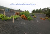 Terreny no urbanitzable en venda a El Paso ref.: TR261471 foto