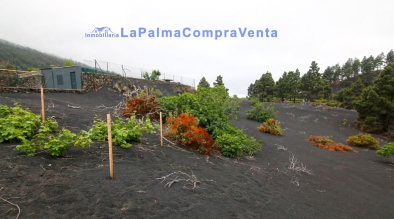 Santa Cruz de Tenerife - Los Llanos de Aridane - 2500m2