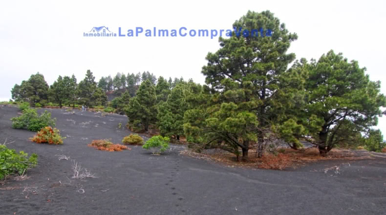 Santa Cruz de Tenerife - Los Llanos de Aridane - 2500m2