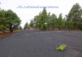 Terreny no urbanitzable en venda a El Paso ref.: TR261471 foto