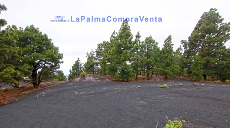 Santa Cruz de Tenerife - Los Llanos de Aridane - 2500m2