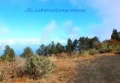 Xalet adossat amb terreny en venda a Los Canarios ref.: TR258287 foto