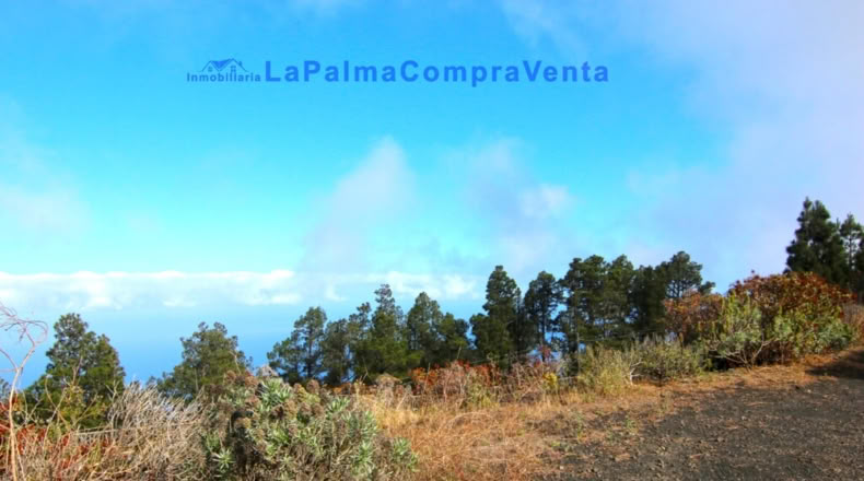 Santa Cruz de Tenerife - Los Canarios - 150m2