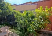Chalet independiente con terreno en venta en la Carretera General, Los Canarios, ref: TR258286 foto