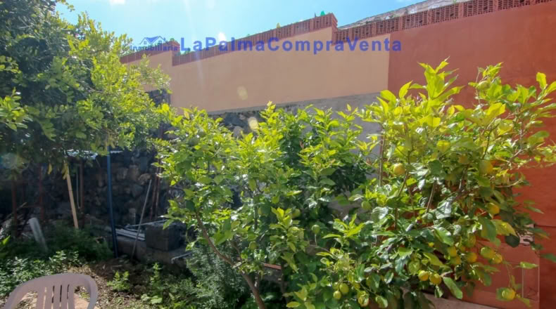 Santa Cruz de Tenerife - Los Canarios - 353m2