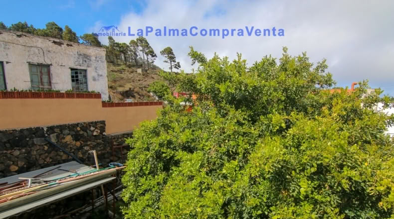 Santa Cruz de Tenerife - Los Canarios - 353m2