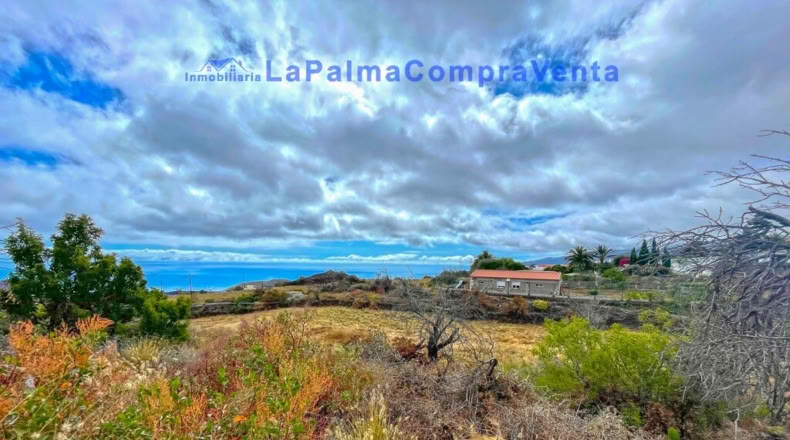 Santa Creu de Tenerife - Dos Pinos - 3668m2