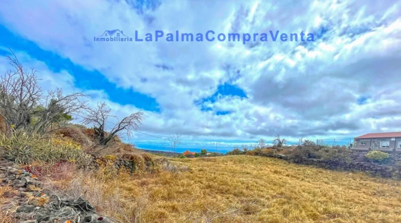 Santa Creu de Tenerife - Dos Pinos - 3668m2
