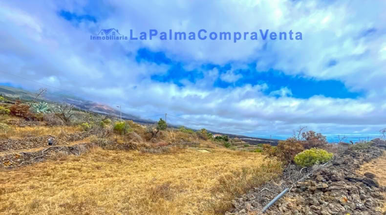 Santa Creu de Tenerife - Dos Pinos - 3668m2