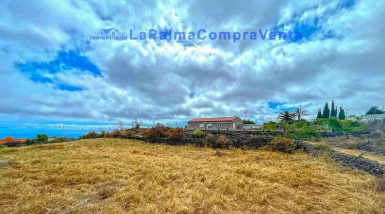 Santa Creu de Tenerife - Dos Pinos - 3668m2