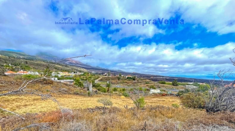 Santa Creu de Tenerife - Dos Pinos - 3668m2