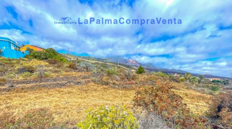 Santa Creu de Tenerife - Dos Pinos - 3668m2