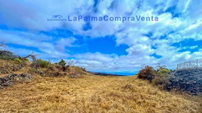 Santa Creu de Tenerife - Dos Pinos - 3668m2