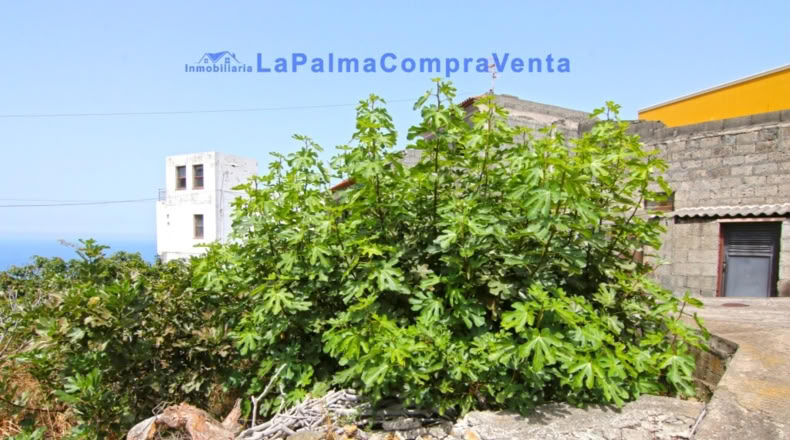 Santa Creu de Tenerife - Puerto Espíndola - 414m2