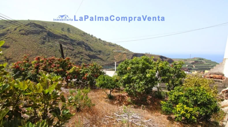 Santa Creu de Tenerife - Puerto Espíndola - 414m2