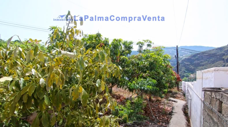 Santa Creu de Tenerife - Puerto Espíndola - 414m2