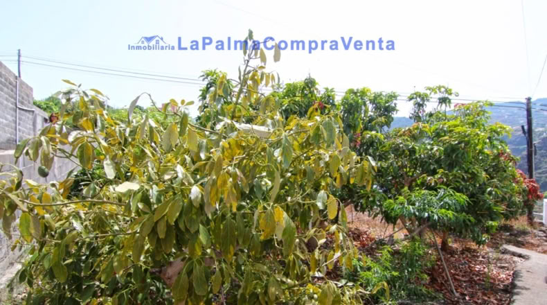 Santa Creu de Tenerife - Puerto Espíndola - 414m2