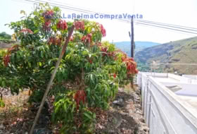 Lomo Gil 414&nbsp;m² 