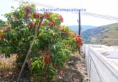 Sòl urbà en venda a la Camino Lomo López, Lomo Gil, ref.: TR284337 foto