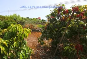 Lomo Gil 414&nbsp;m² 