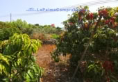 Sòl urbà en venda a la Camino Lomo López, Lomo Gil, ref.: TR284337 foto